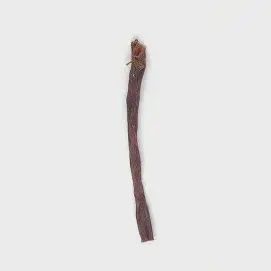 Wawwaw- Oesophage de boeuf, format: 12 pouce