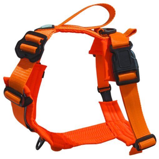 Le Chien Blanc - Harnais pour chien Horizon, couleur: Orange, taille: Extra-Grand