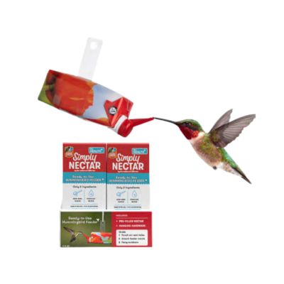Perky-Pet - Nectar Instantané pour colibri