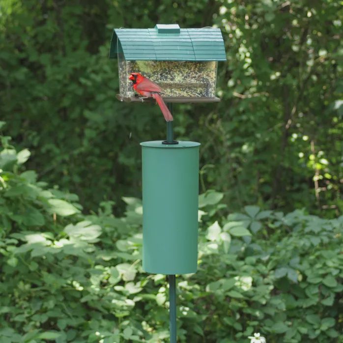 Perky-Pet- Pare écureuil en métal vert