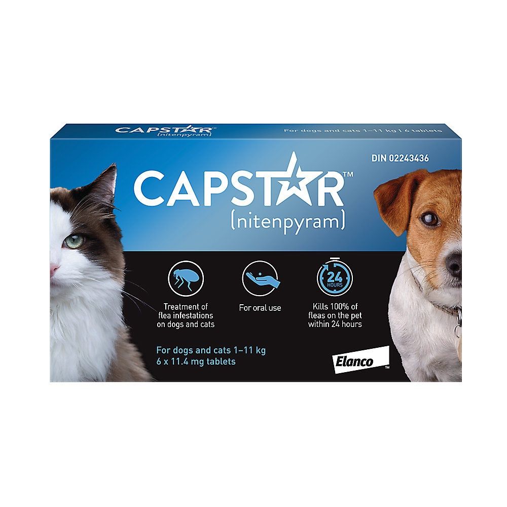 Capstar-Fast Acting Flea Treatment 6 Tablets, format: Animal entre 1 kg &amp; 11kg