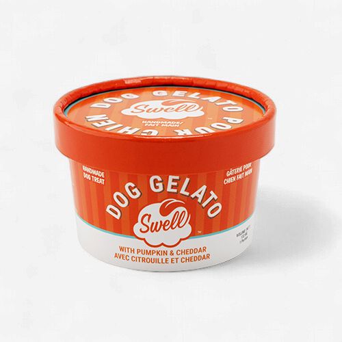 Swell- Gelato pour chien 4.5oz, saveur: Citrouille &amp; cheddar