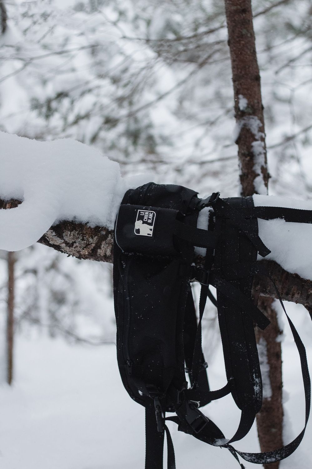 Le Chien Blanc - ceinture de traction Ultimate noir