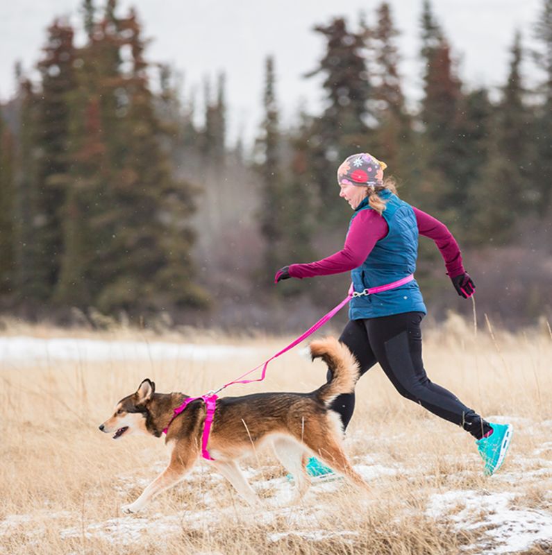 RcPets - Laisse active bungee, ajustable multi-fonction