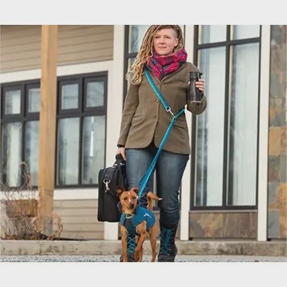 RcPets - Laisse active bungee, ajustable multi-fonction