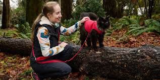 RcPets - Laisse active de base 8''