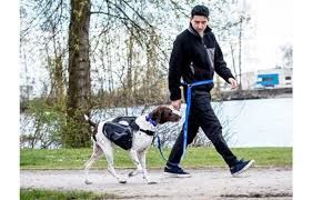 RcPets - Laisse active de base 8''