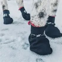 Le Chien Blanc - Botte courte grip