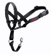 Company of Animals - Halti "OptiFit" Dog Headcollar