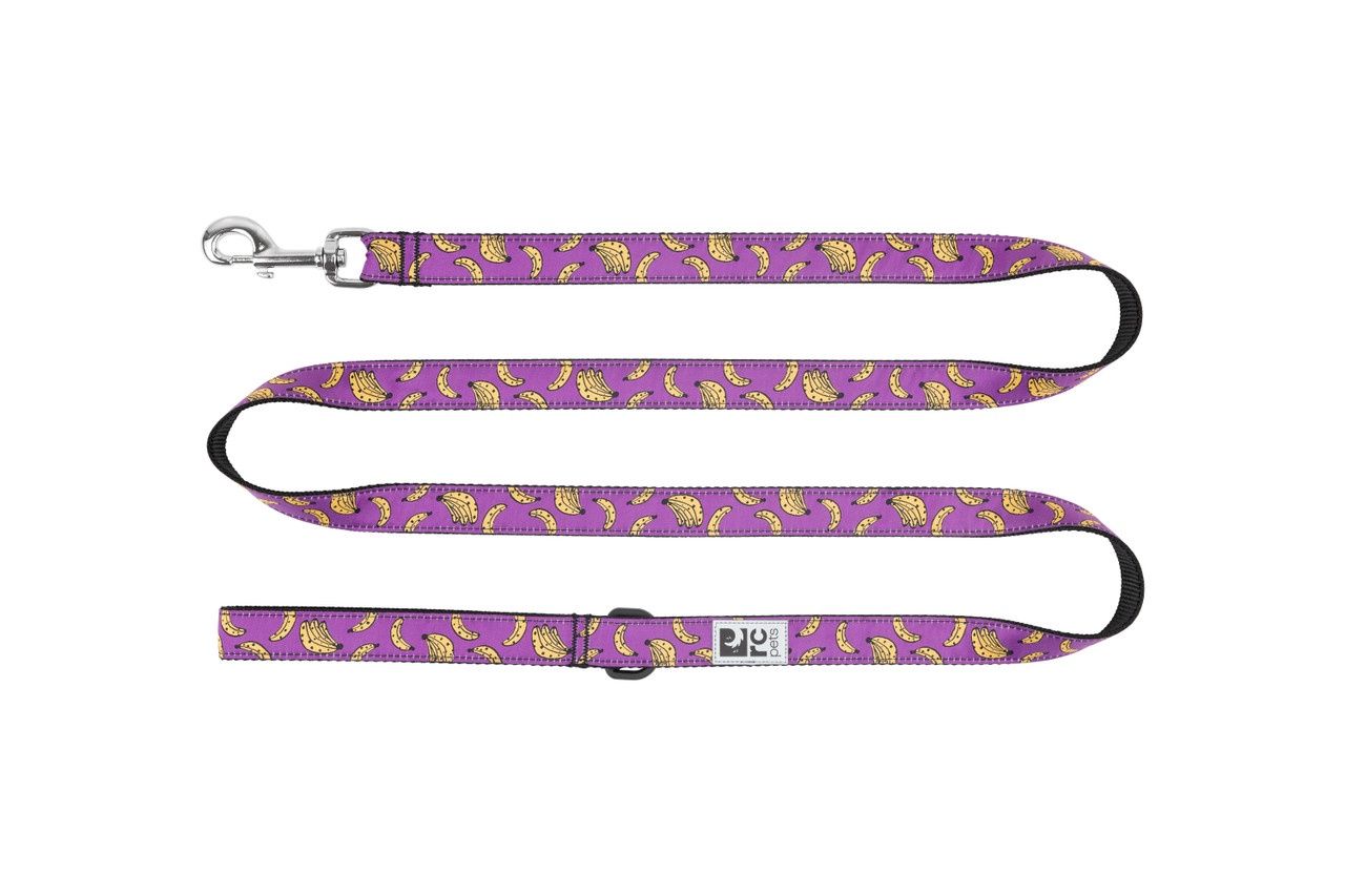 RcPets - Laisse à motifs 6' en nylon, couleur: Bananes, taille: 1''