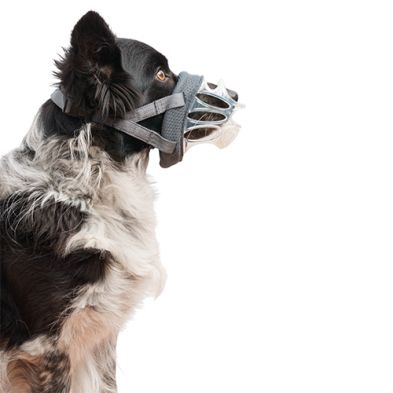 Company of Animals - Baskerville Basket Muzzle Invisa