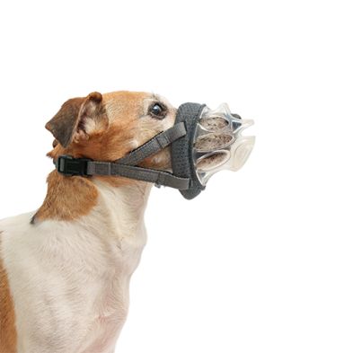 Company of Animals - Baskerville Basket Muzzle Invisa, taille: #1