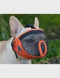 Canine Friendly- Short Snout Muzzle Medium, taille: Médium