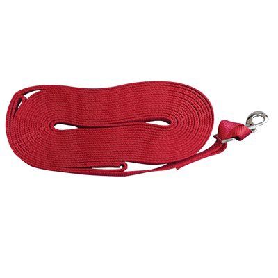 Shedrow - Longe 30' pour chien, couleur: Rouge