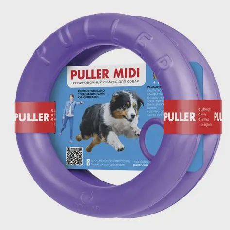 Collar Company - Puller Midi - Purple Ring Pack of 2