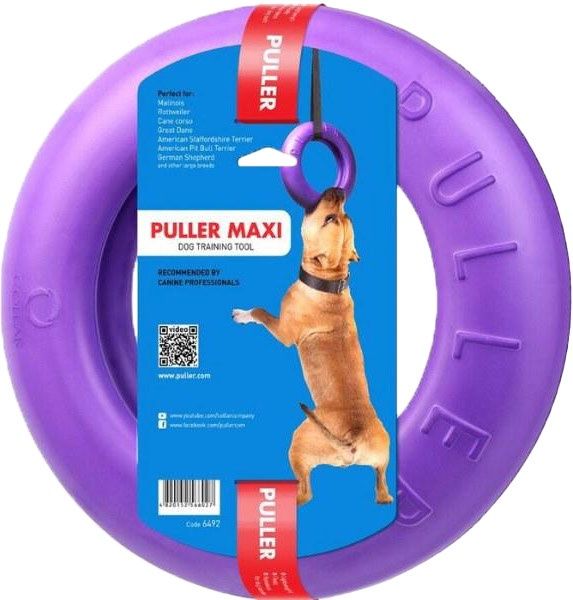 Collar Company - Puller Midi - Purple Ring Pack of 2