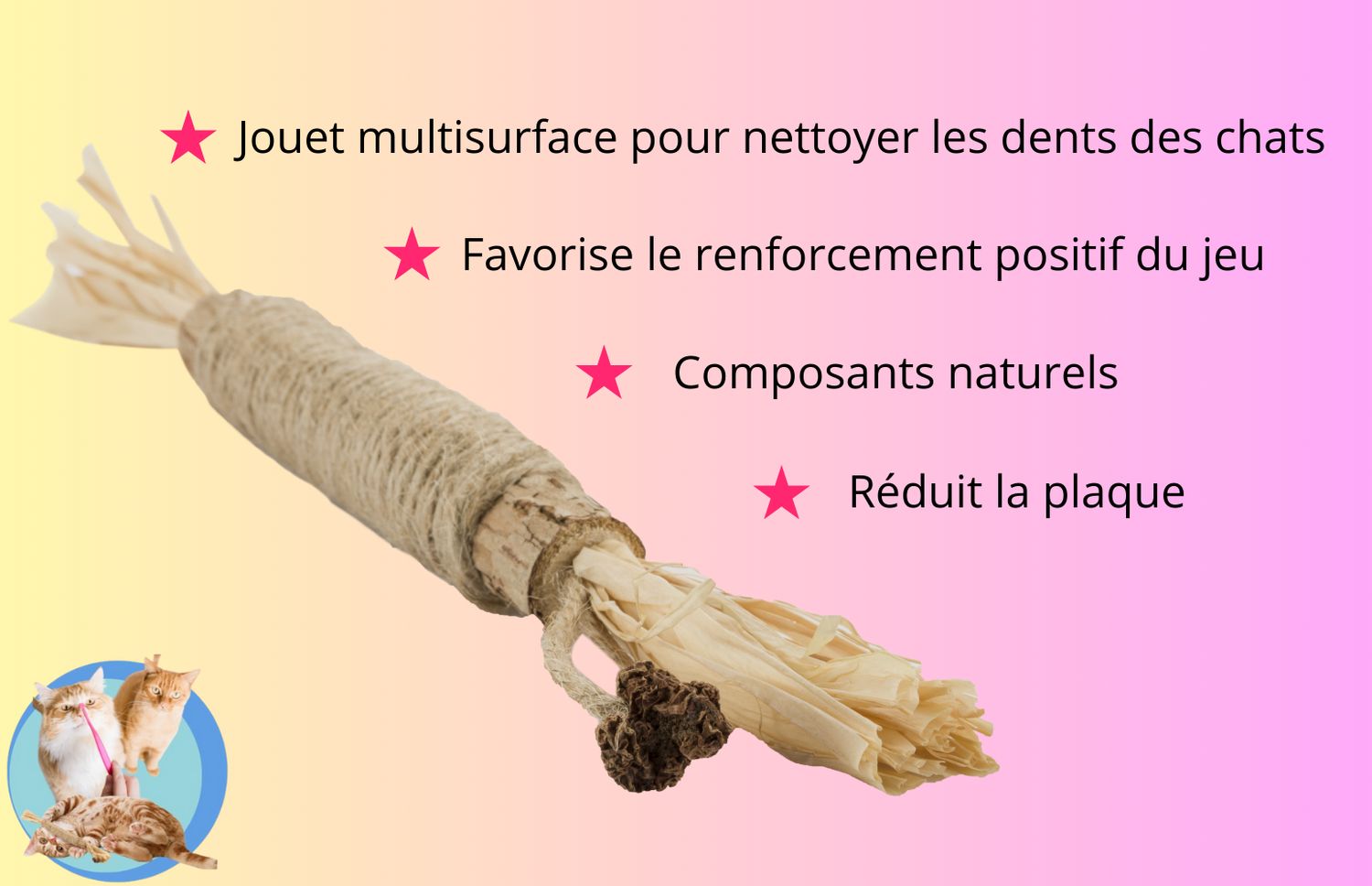 Tavin Pharma - Bâton de matatabi dentaire pour chat