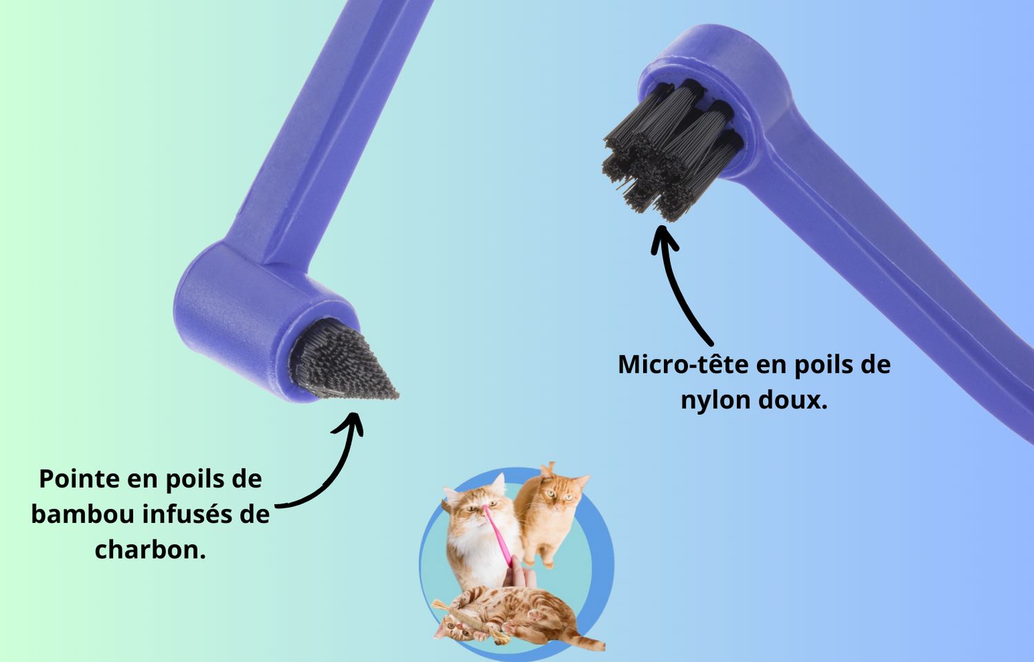 Tavin Pharma - Brosse à dents pour chat