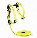 Kong - Rogz -Harnais a chat avec laisse couleur unis, reflecteur &amp; ajustable