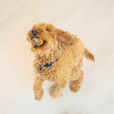 Kong - Grinz squeak ball