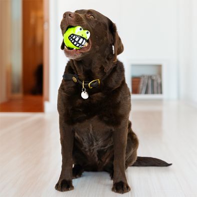 Kong - Grinz squeak ball