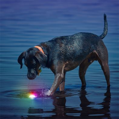 Nite Ize - GlowStreak - Balle LED Disc-O