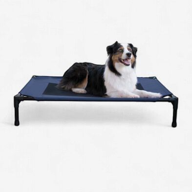 K&amp;H - Elevated Pet Bed - Blue and Black - Large