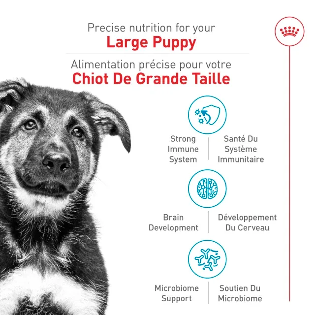 Royal Canin- Chiot de grande race