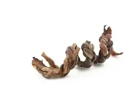 Vrac pour chien- Pizzle de porc tressé