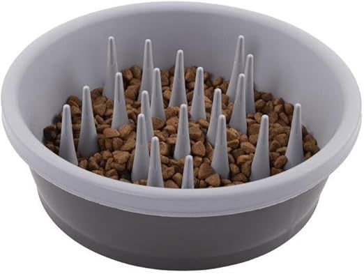 Dexas - The Slow Feeder - Bol ralentisseur en silicone