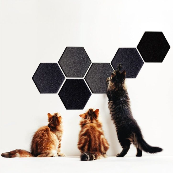 Noba - Griffoir mural hexagonal noir (3 unités)