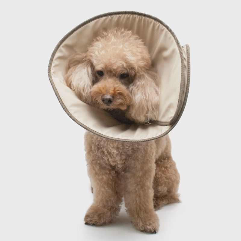 Dogo Pet - Collier élisabéthain souple beige