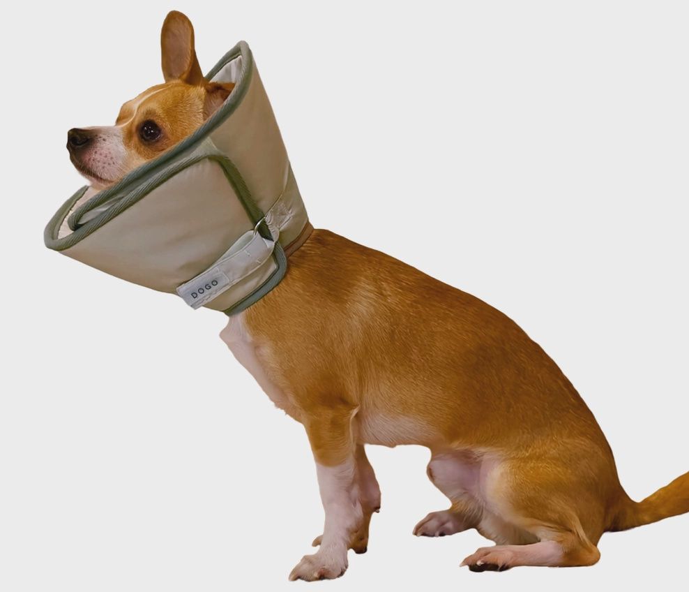 Dogo Pet - Collier élisabéthain souple beige