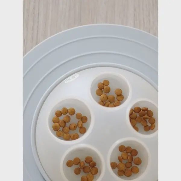 Inooko - Cat Igloo, Bol intéractif pour chat