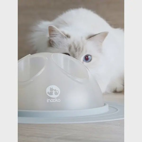 Inooko - Cat Igloo, Bol intéractif pour chat