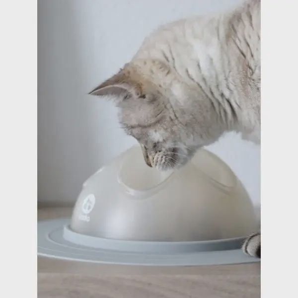 Inooko - Cat Igloo, Bol intéractif pour chat
