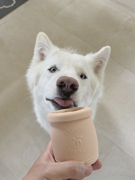 Inooko - Yoomy Pot, Jouet  a remplir en forme de pot couleur pêche