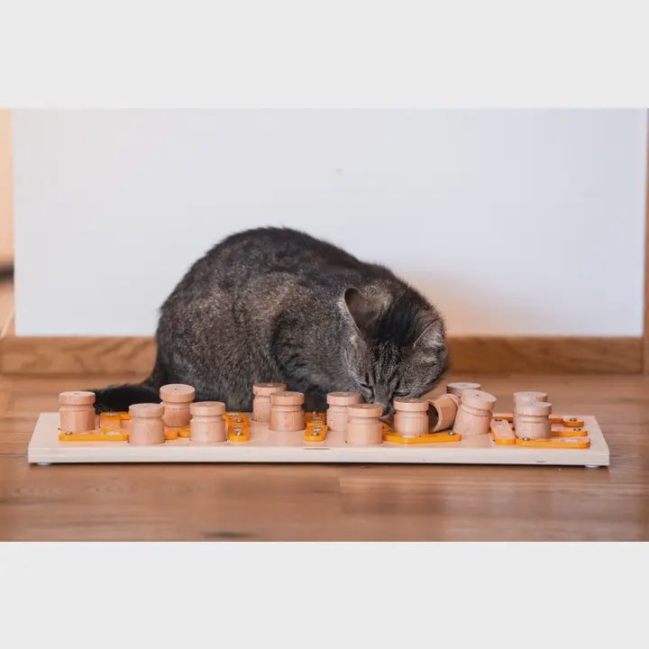 My Intelligent Pets- Casse-tête en bois Souris