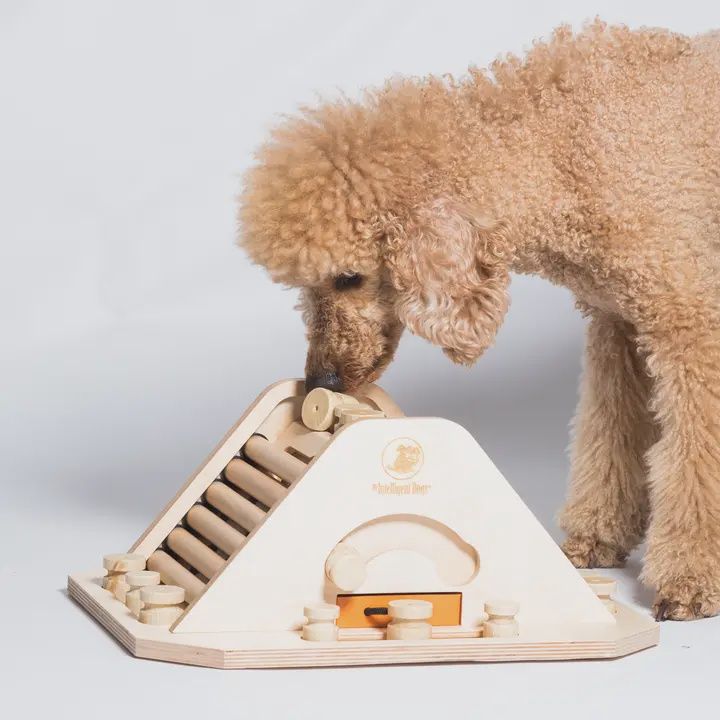 My Intelligent Pets- Casse-tête en bois Pyramide