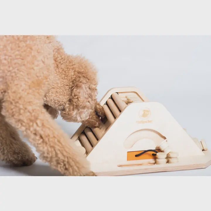 My Intelligent Pets- Casse-tête en bois Pyramide