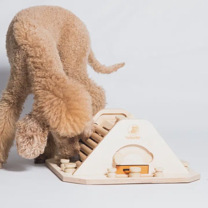 My Intelligent Pets- Casse-tête en bois Pyramide