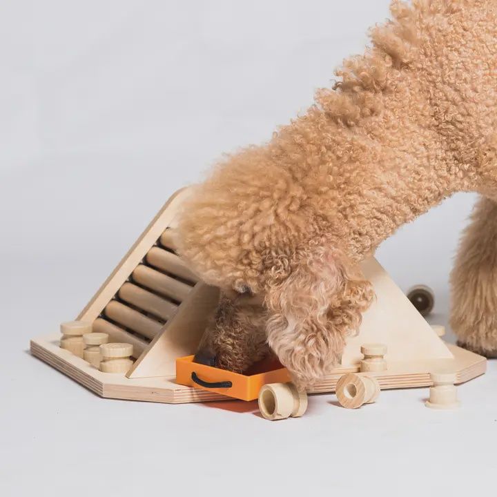 My Intelligent Pets- Casse-tête en bois Pyramide