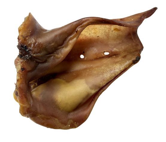 Wawwaw - Oreille de porc Géante