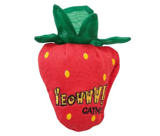 Ducky World - Jouet D'herbe à Chat  Fraise