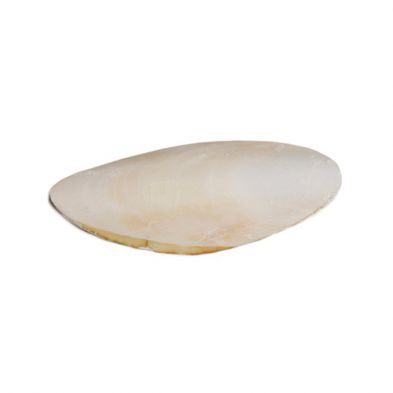Prevue Pet Products - Os de seiche pour oiseaux