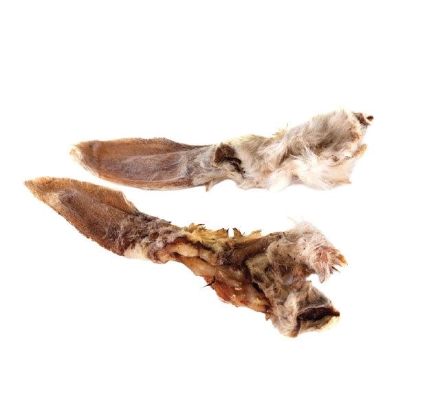 Paw Paw- Oreilles de lapin avec poils unité