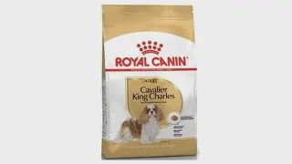 Royal Canin - Recette pour Cavalier King Charles adulte 10lbs