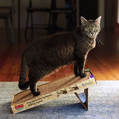 Kong - Naturals, griffoir pour chat, inclinable pop-up