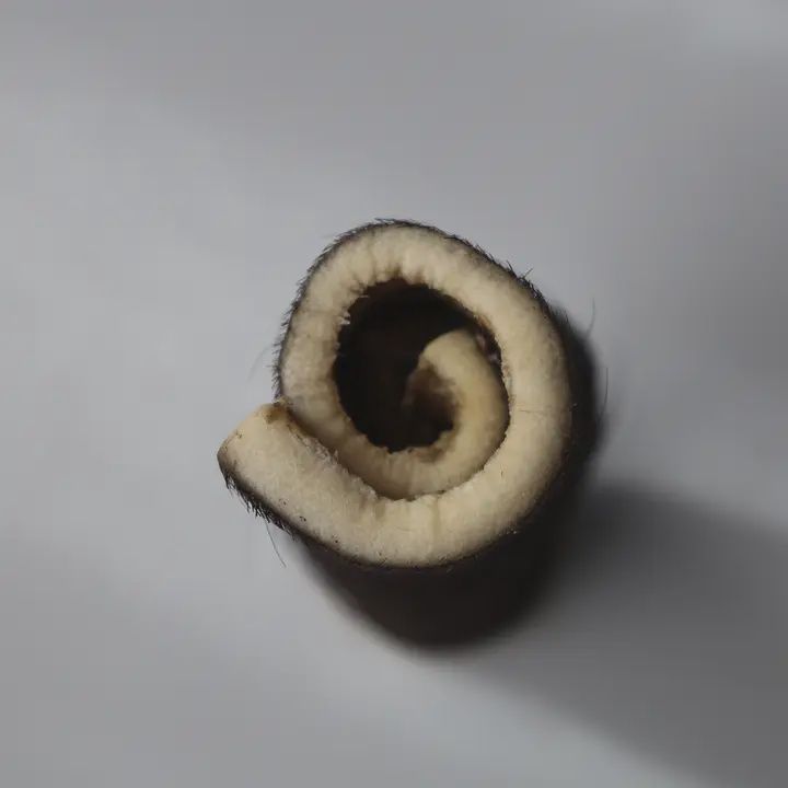 Vrac pour chien - Rouleau de peau de boeuf poilu