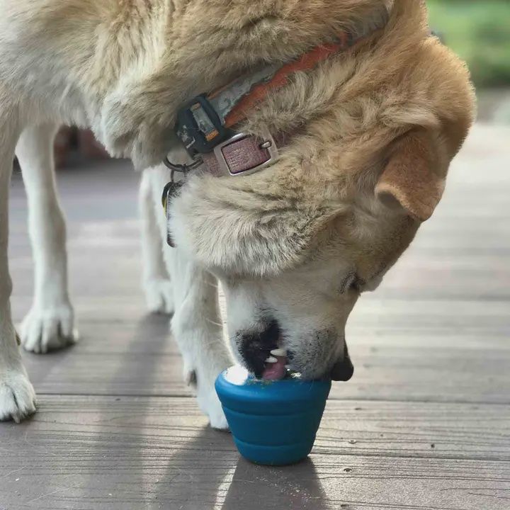SodaPup -Capsule spatiale eDispenser : Jouet à mâcher ultra-durable et distributeur d'enrichissement